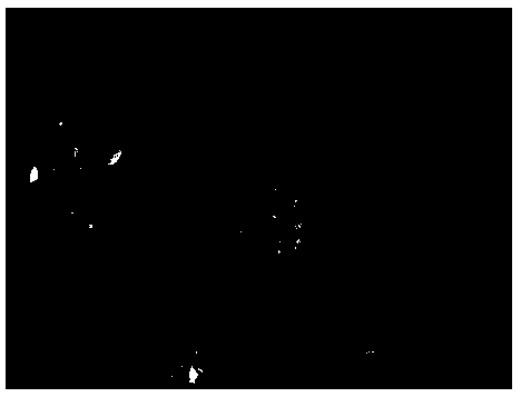 Wood softener and preparation method, wood softening method and method for making wood slices