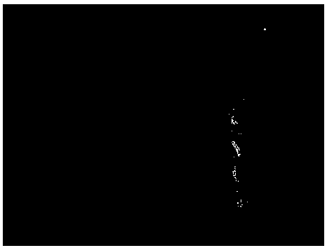 Wood softener and preparation method, wood softening method and method for making wood slices