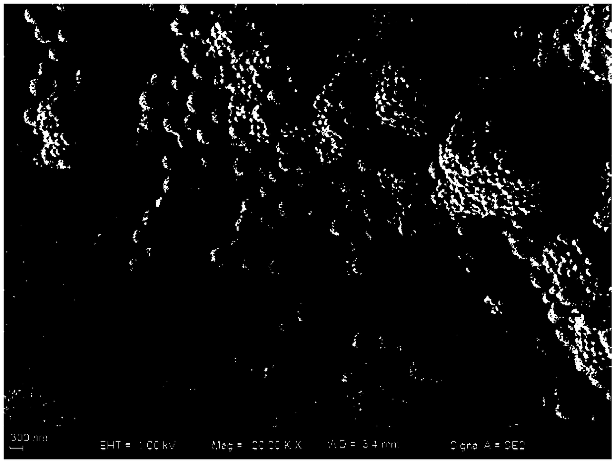 Coating slurry, coating diaphragm and preparation method thereof