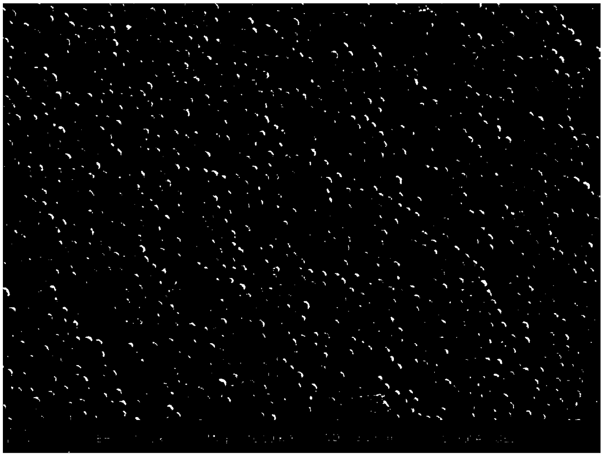 Coating slurry, coating diaphragm and preparation method thereof