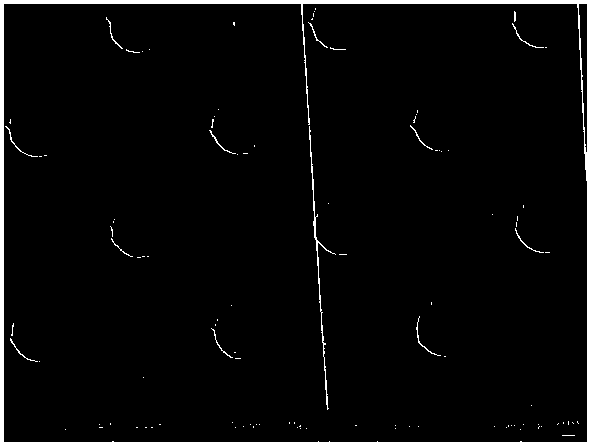 Composite material with interface enhanced and application thereof