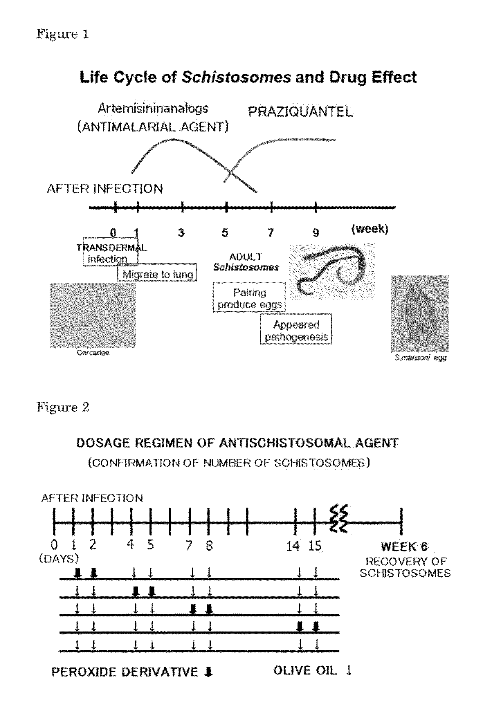 Novel Antischistosomal Agent