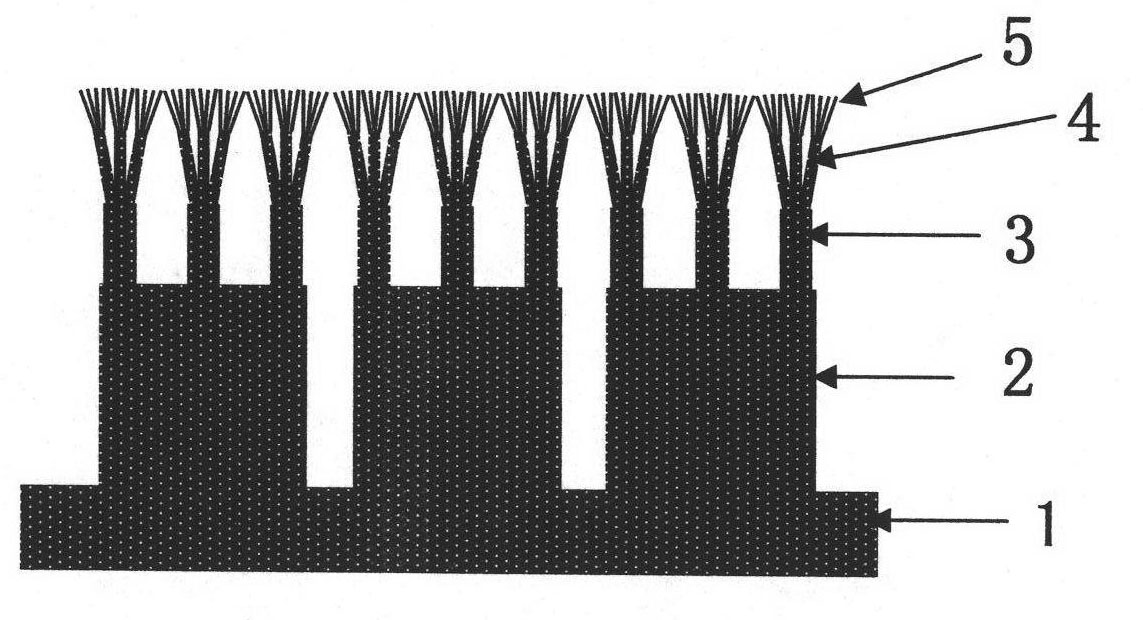 Cross-scale biomimetic micro-nano branch structure array and preparation method thereof