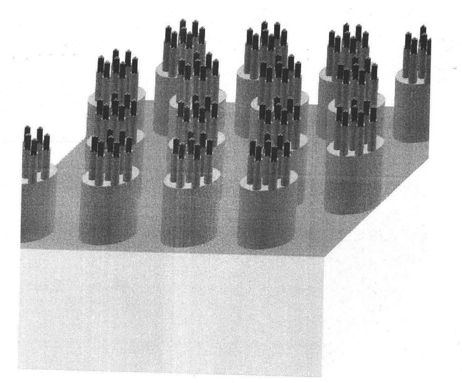 Cross-scale biomimetic micro-nano branch structure array and preparation method thereof