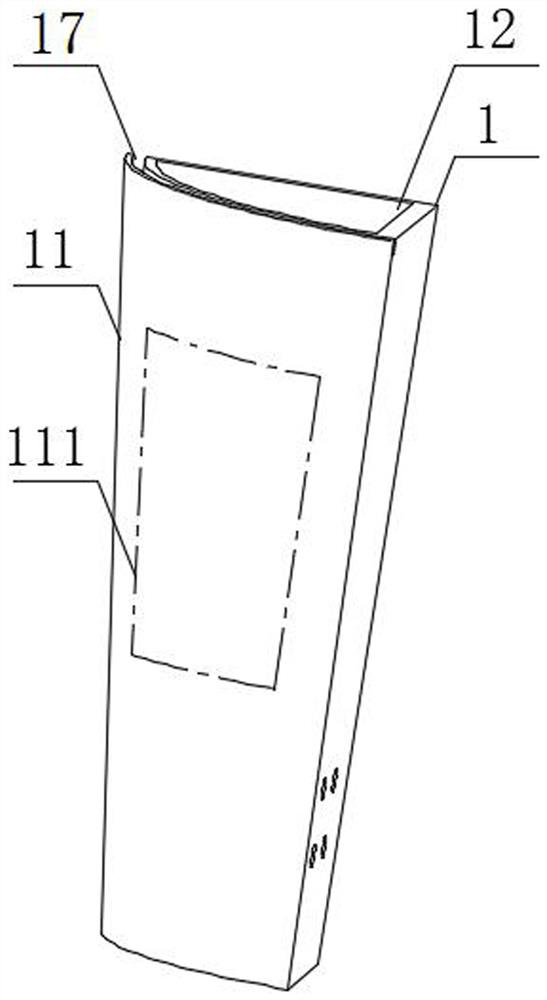 Day lily planting method