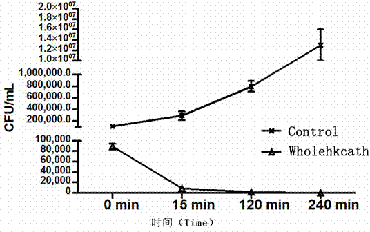 Duttaphrynus melanostictus antimicrobial peptide as well as gene and application thereof