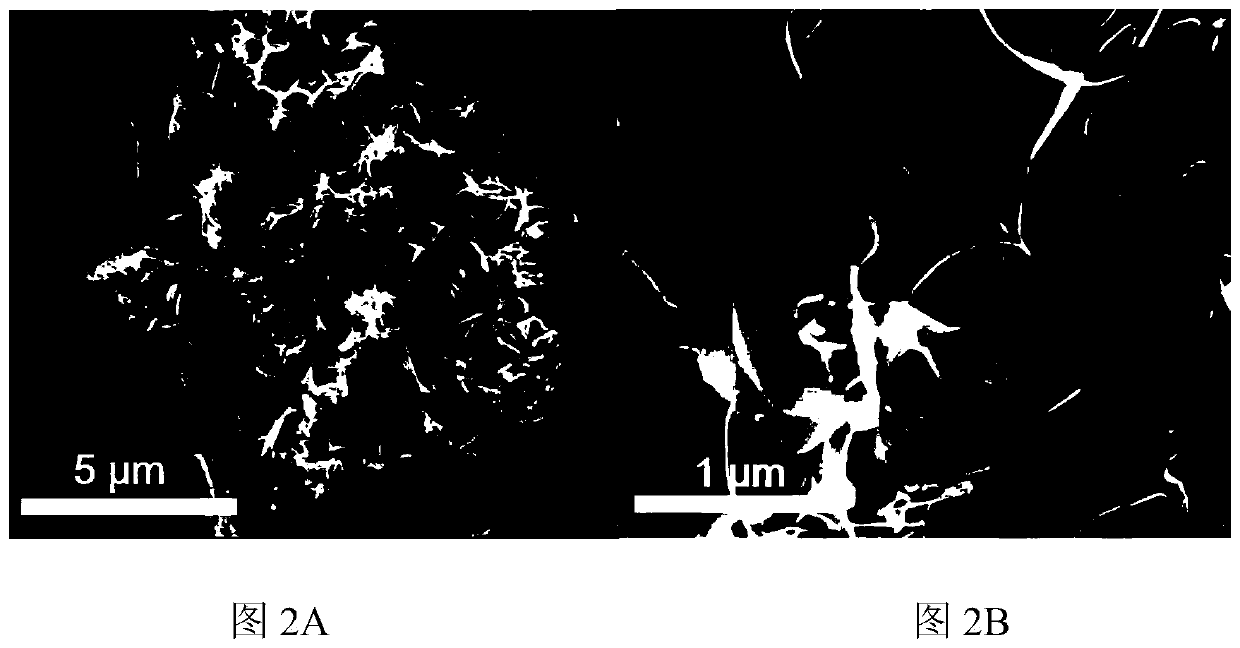 Composite structure for lithium ion battery cathode and preparation method thereof