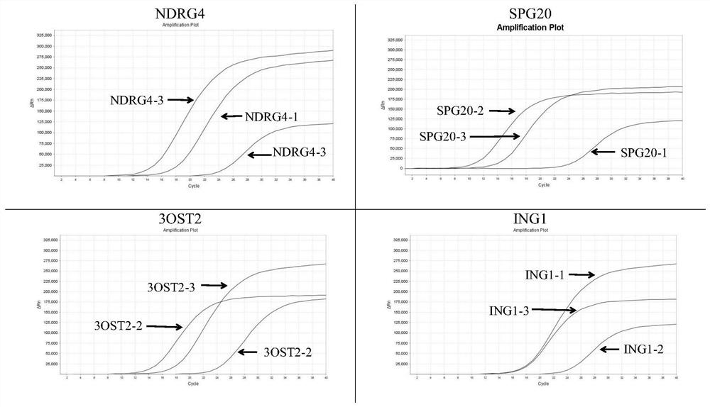 Colorectal cancer gene methylation detection primer probe combination and kit and application thereof