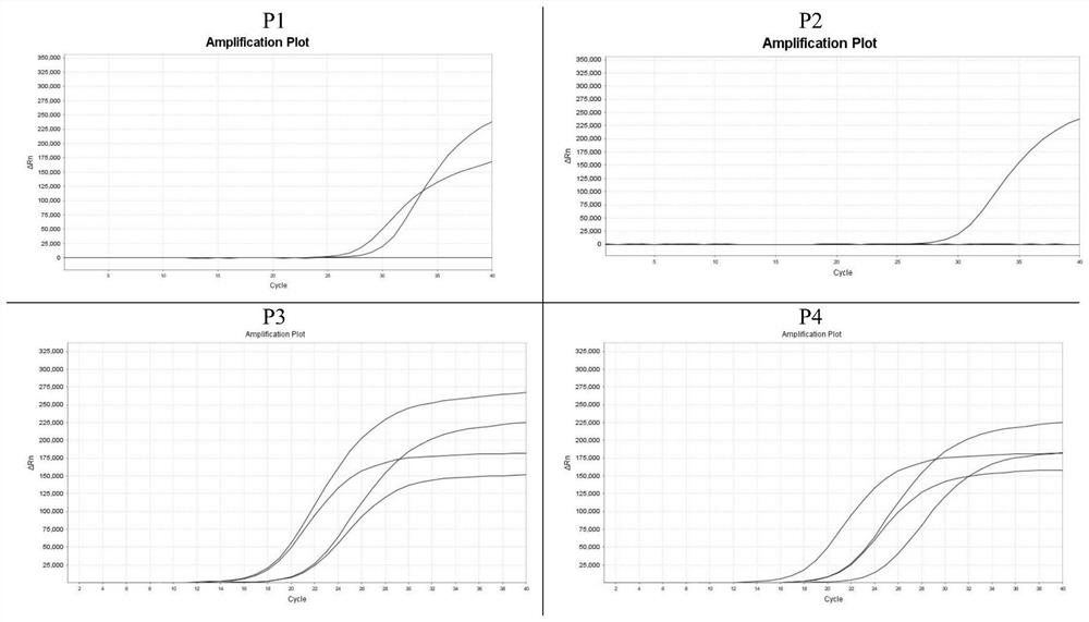 Colorectal cancer gene methylation detection primer probe combination and kit and application thereof