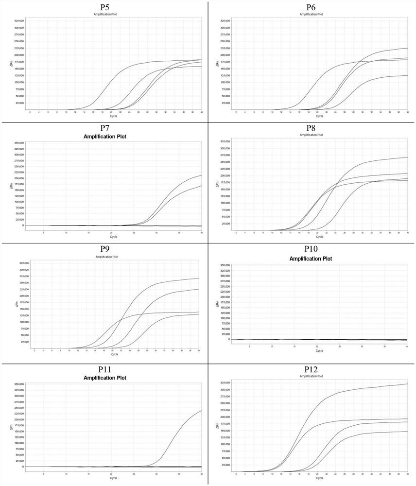 Colorectal cancer gene methylation detection primer probe combination and kit and application thereof