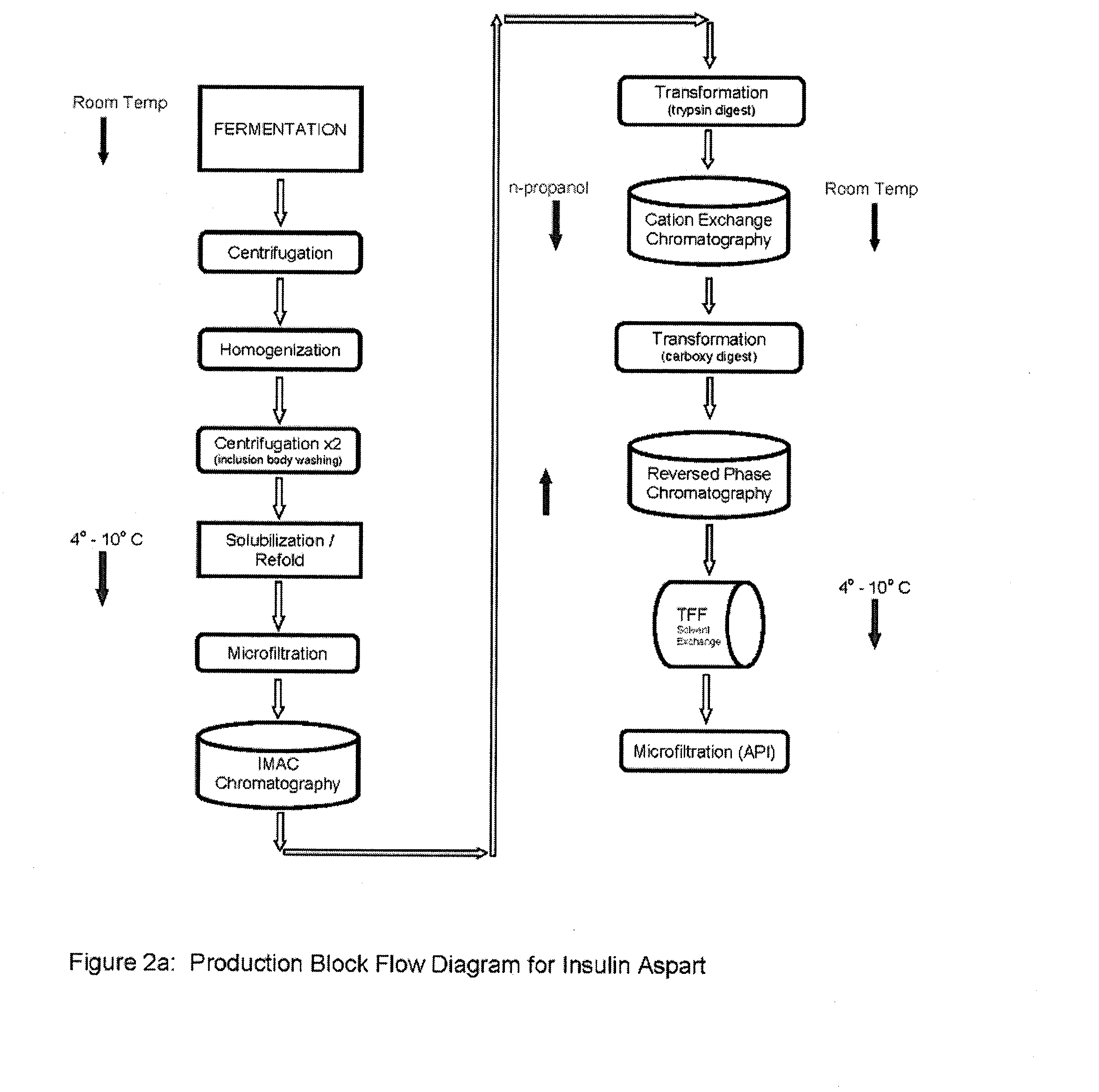 Aspart Proinsulin Compositions and Methods of Producing Aspart Insulin Analogs