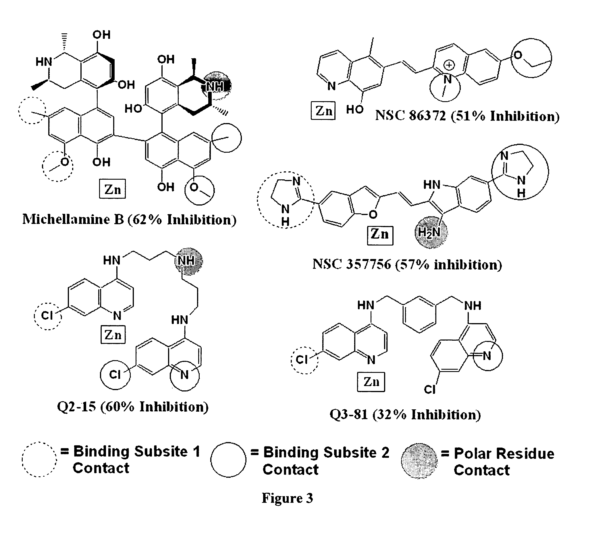 Small molecules and a pharmacophore model for inhibition of botulinum toxin and methods of making and using thereof