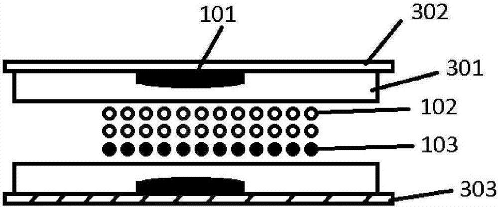 A liquid metal plasma color display device and its preparation method