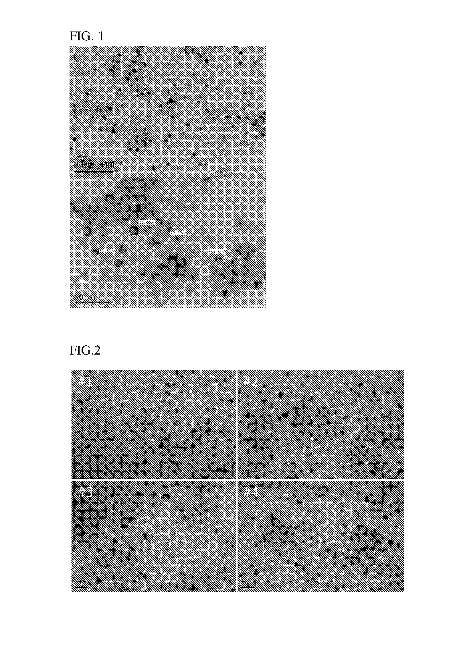 Method for preparing uniform metal oxide nanoparticles with high reproducibility