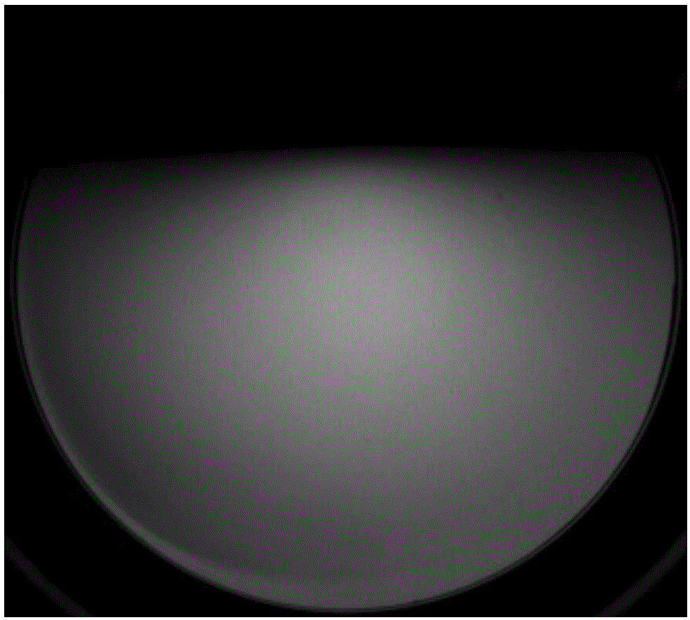 InGaN/GaN quantum well grown on ScMgAlO4 substrate and preparation method of InGaN/GaN quantum well