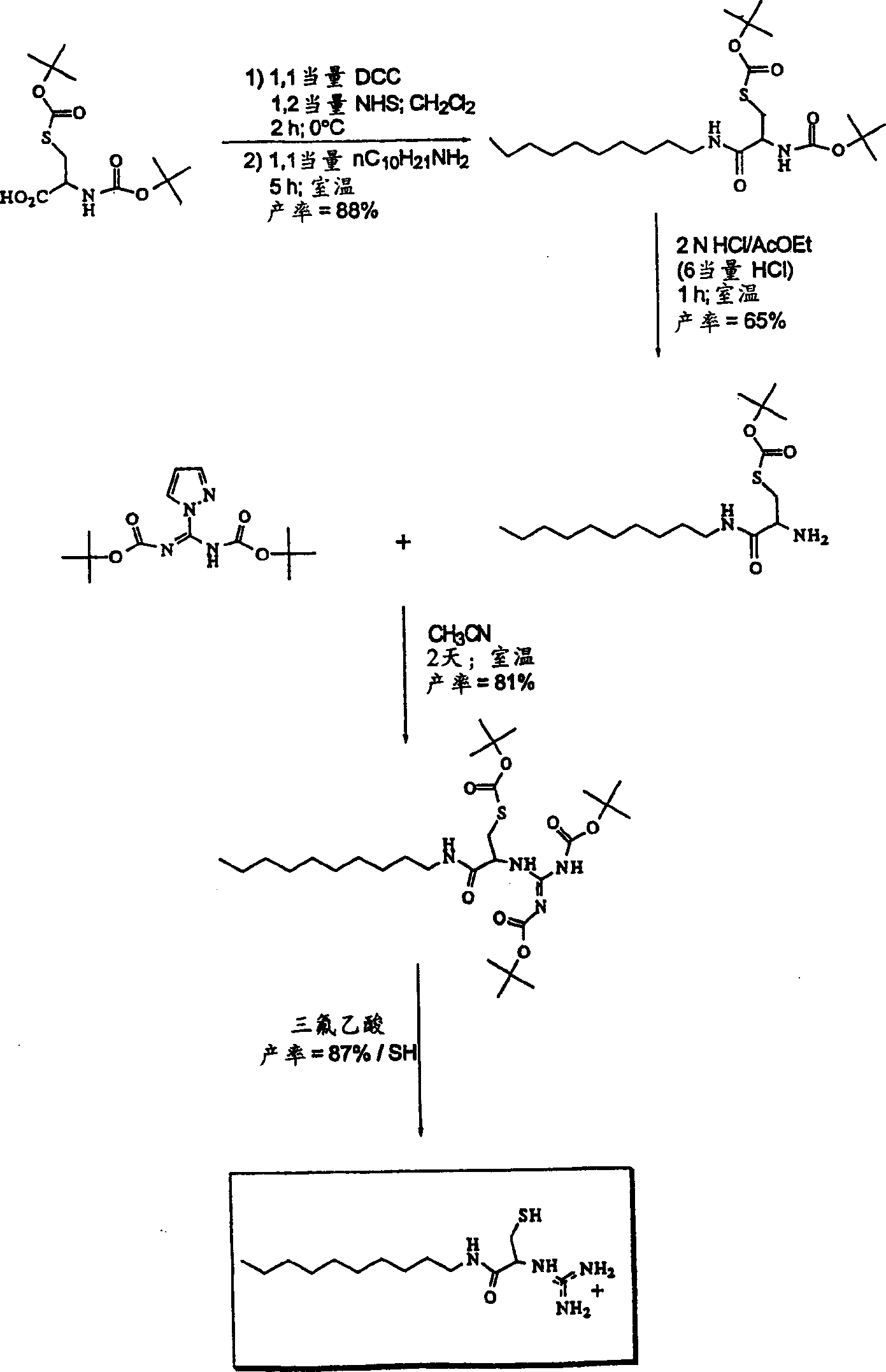 Transfection particles