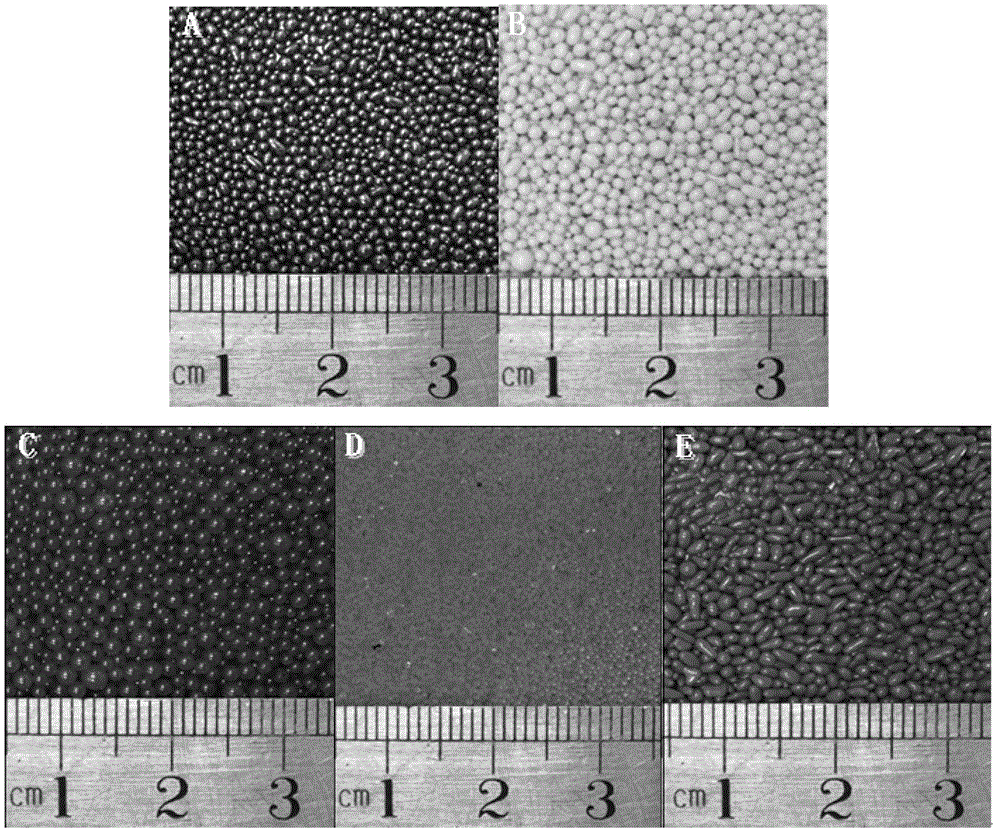 Expandable polystyrene resin bead with high color strength and high light fastness and preparation process thereof