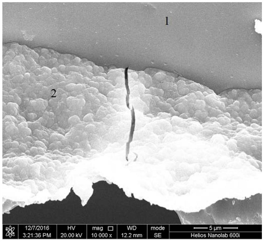 A SEM in-situ tensile test method for studying the interface fracture behavior of metal substrate and ceramic film layer