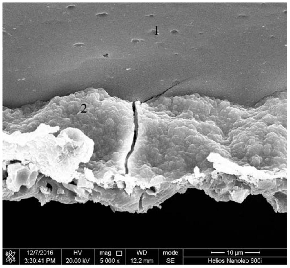 A SEM in-situ tensile test method for studying the interface fracture behavior of metal substrate and ceramic film layer