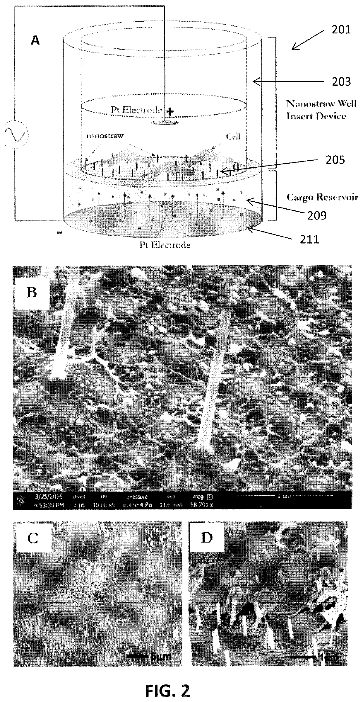 Nanostraw well insert devices for improved cell transfection and viability