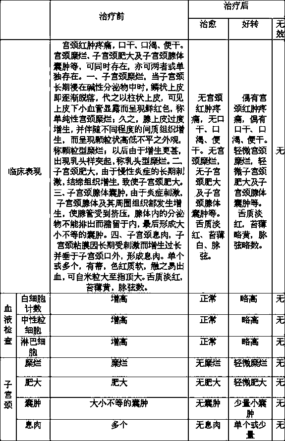 Preparation method of Chinese medicine irrigation solution for treating toxic-heat type chronic cervicitis