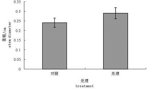 Method for improving soil with asparagus succession cropping obstacles