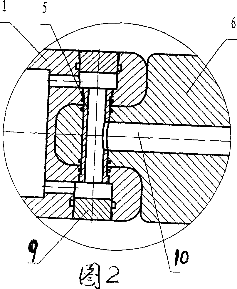 Branched selective reentry method and apparatus