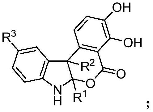 Indoline isochroman derivative as well as enzymatic synthesis method and application thereof