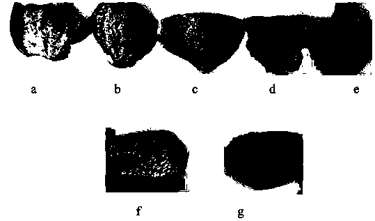 A method for accelerating the aging of tangerine peel