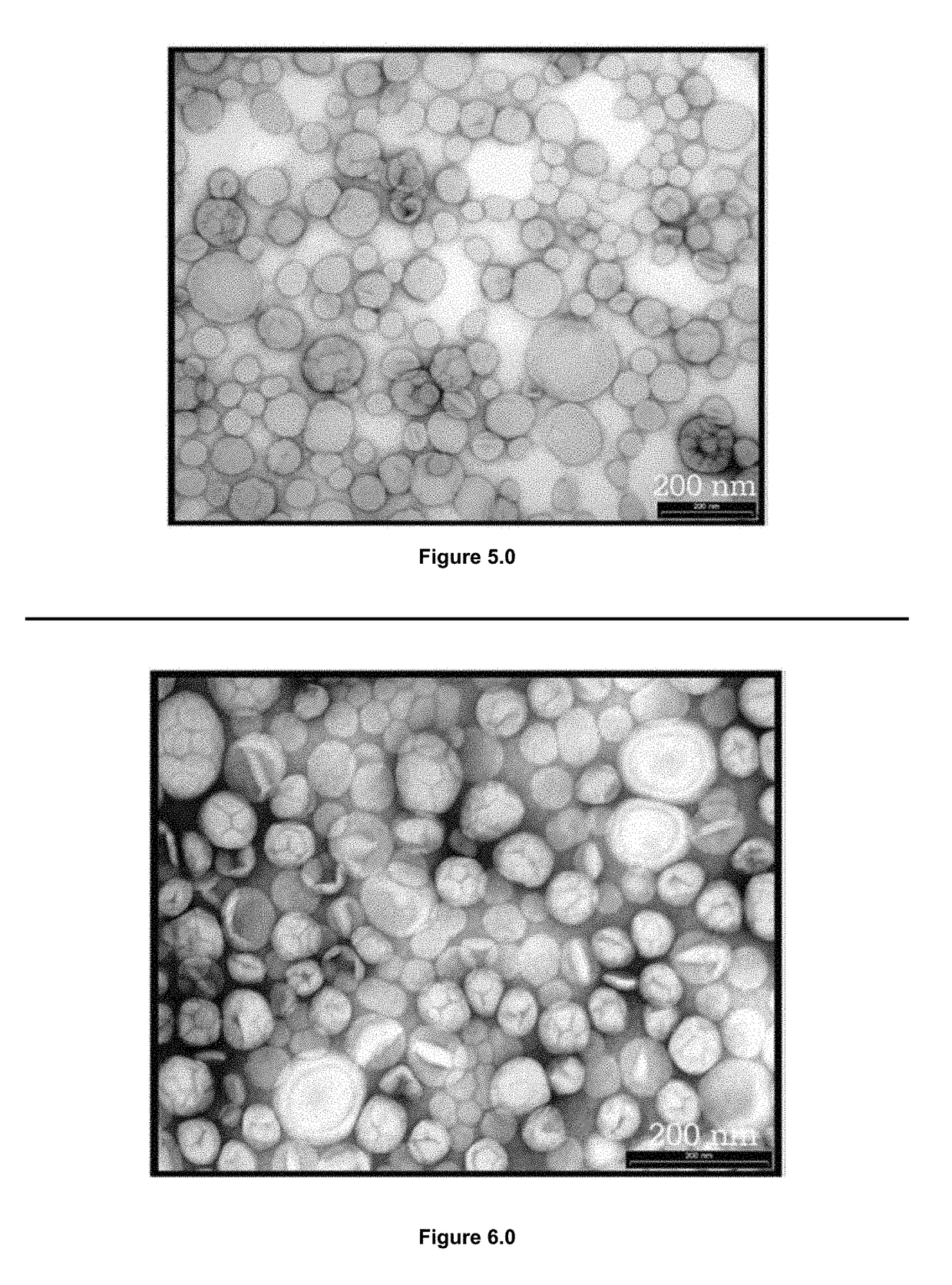 Apparatus and method for preparing cosmeceutical ingredients containing epi-dermal delivery mechanisms