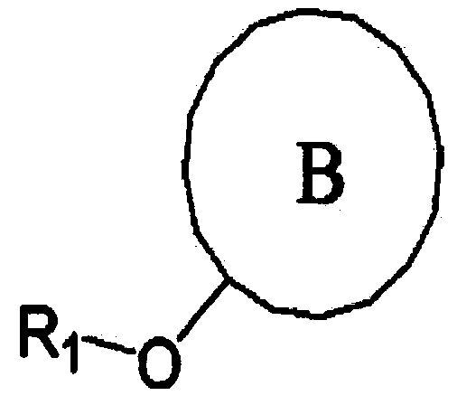 Composition for preventing hair loss and accelerating hair growth