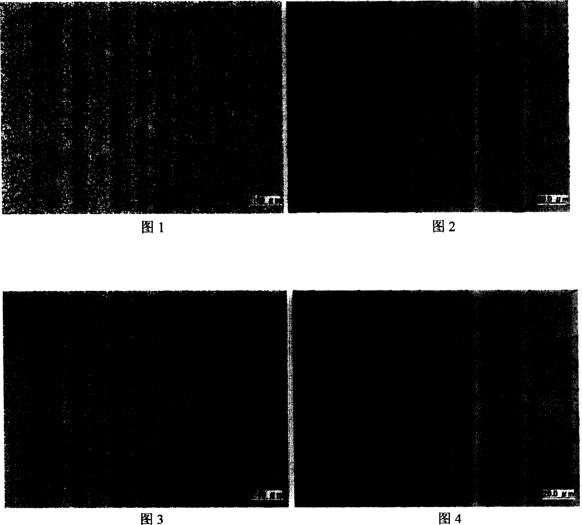 Method for making super-low carbon steel gold-phase sample and displaying its tissue