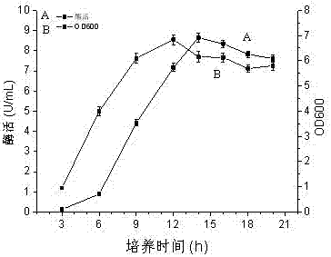 Construction method and fermenting method of antibiotic-resistance-free recombinant bacillus subtilis for expressing glutamate decarboxylase