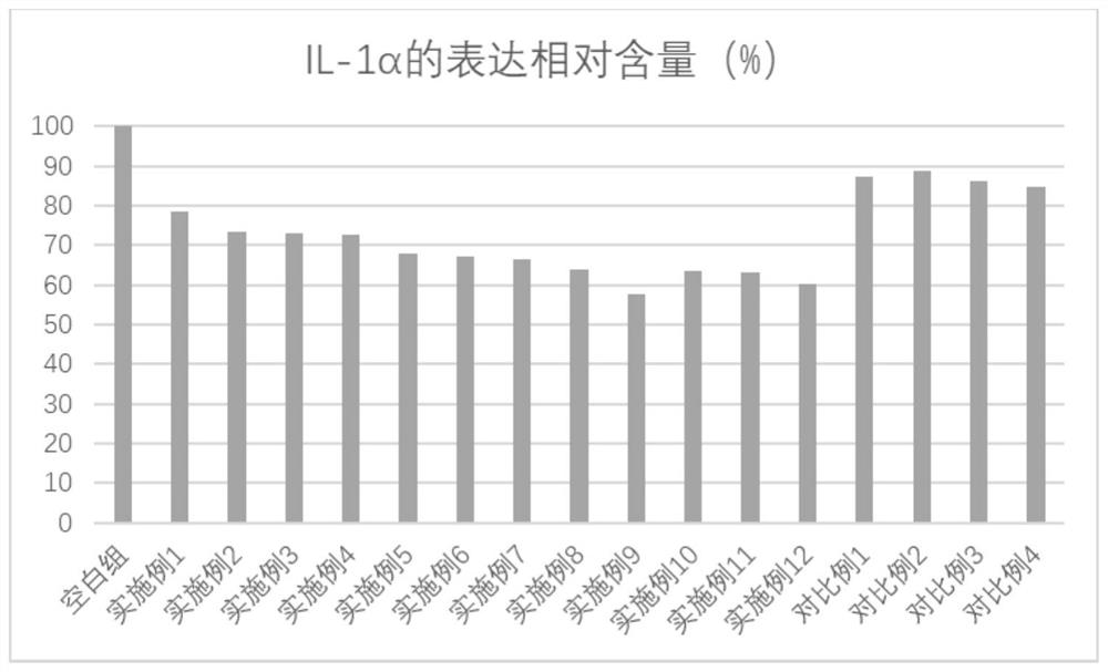 Anti-aging composition as well as preparation method and application thereof