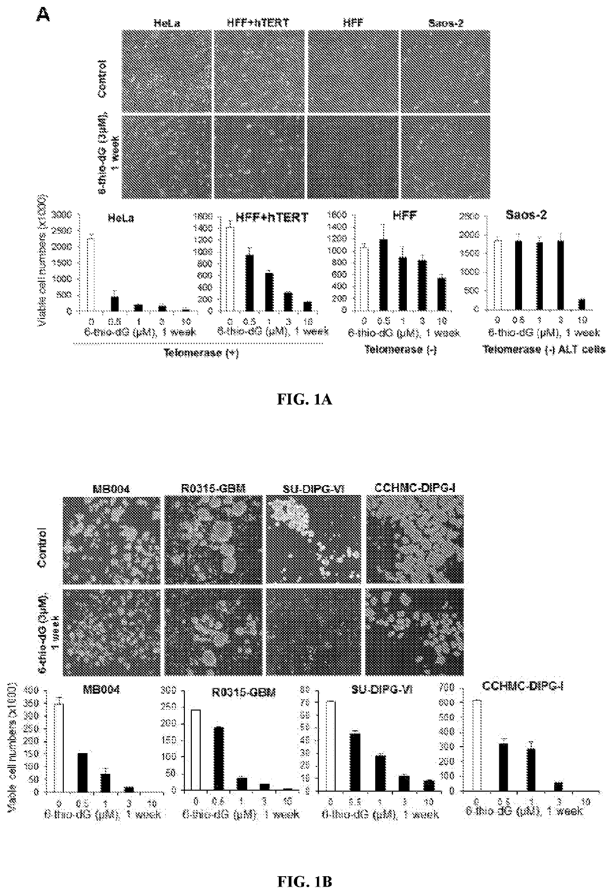 USE OF 6-THIO-dG TO TREAT THERAPY-RESISTANT TELOMERASEPOSITIVE PEDIATRIC BRAIN TUMORS