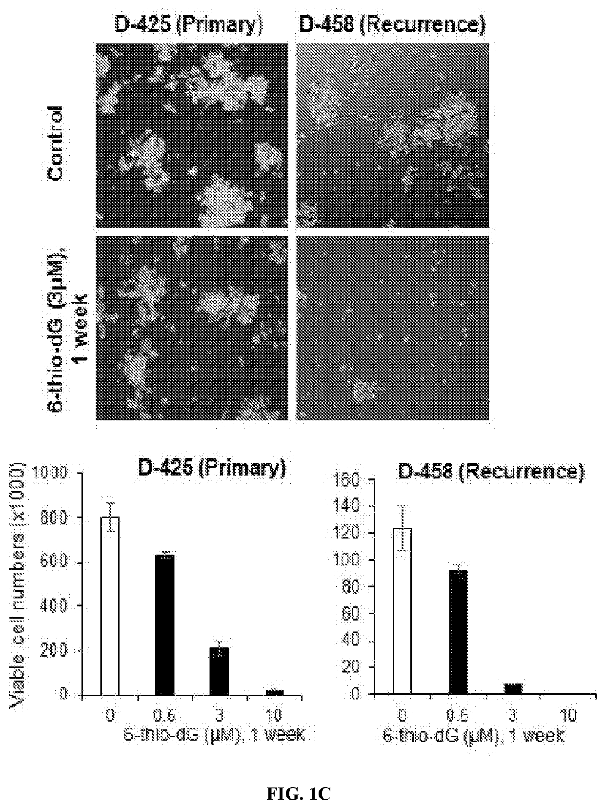 USE OF 6-THIO-dG TO TREAT THERAPY-RESISTANT TELOMERASEPOSITIVE PEDIATRIC BRAIN TUMORS