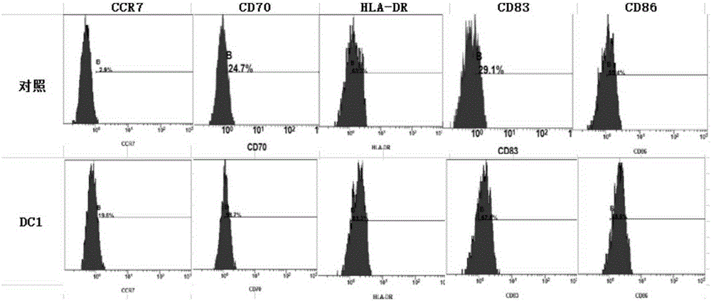 Kit for activating head-neck cancer specific immunity response