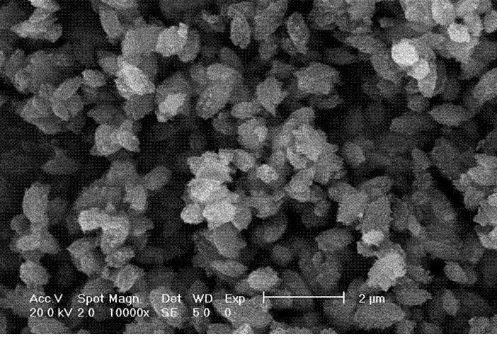 MTW zeolite and preparation method thereof