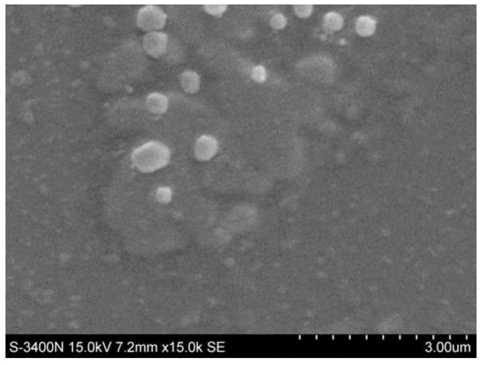 Nano vaccine of LAMP-2 epitope peptide and preparation method of nano vaccine