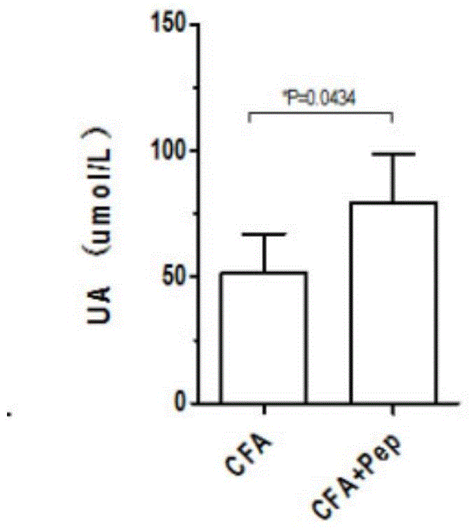 Nano vaccine of LAMP-2 epitope peptide and preparation method of nano vaccine