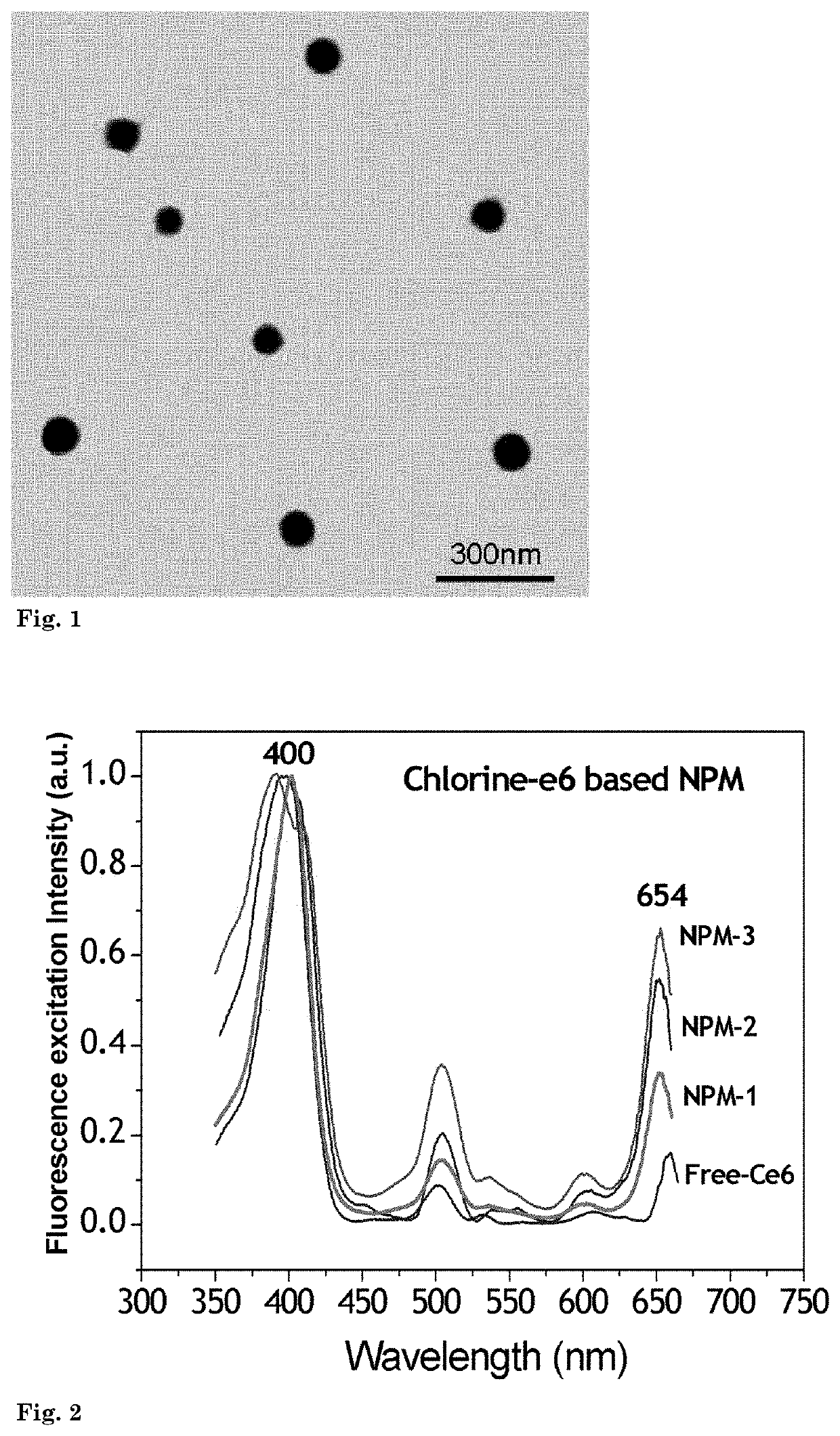 Targeted nano-photomedicines for photodynamic therapy of cancer