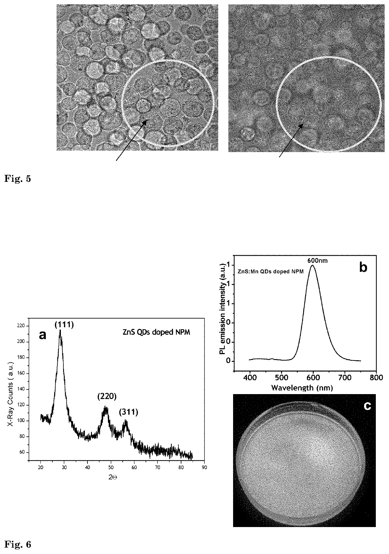 Targeted nano-photomedicines for photodynamic therapy of cancer