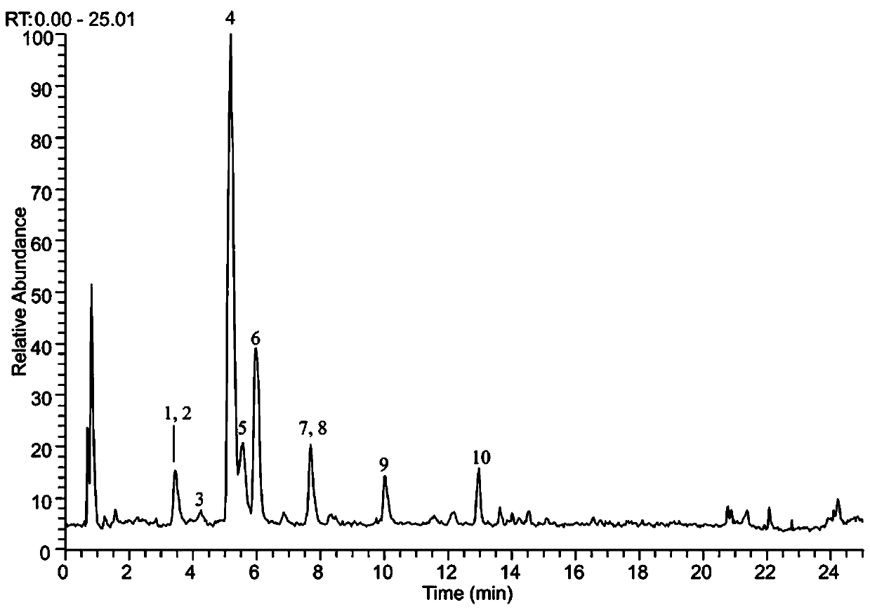 Scutellaria baicalensis leaf extract, preparation method and application thereof