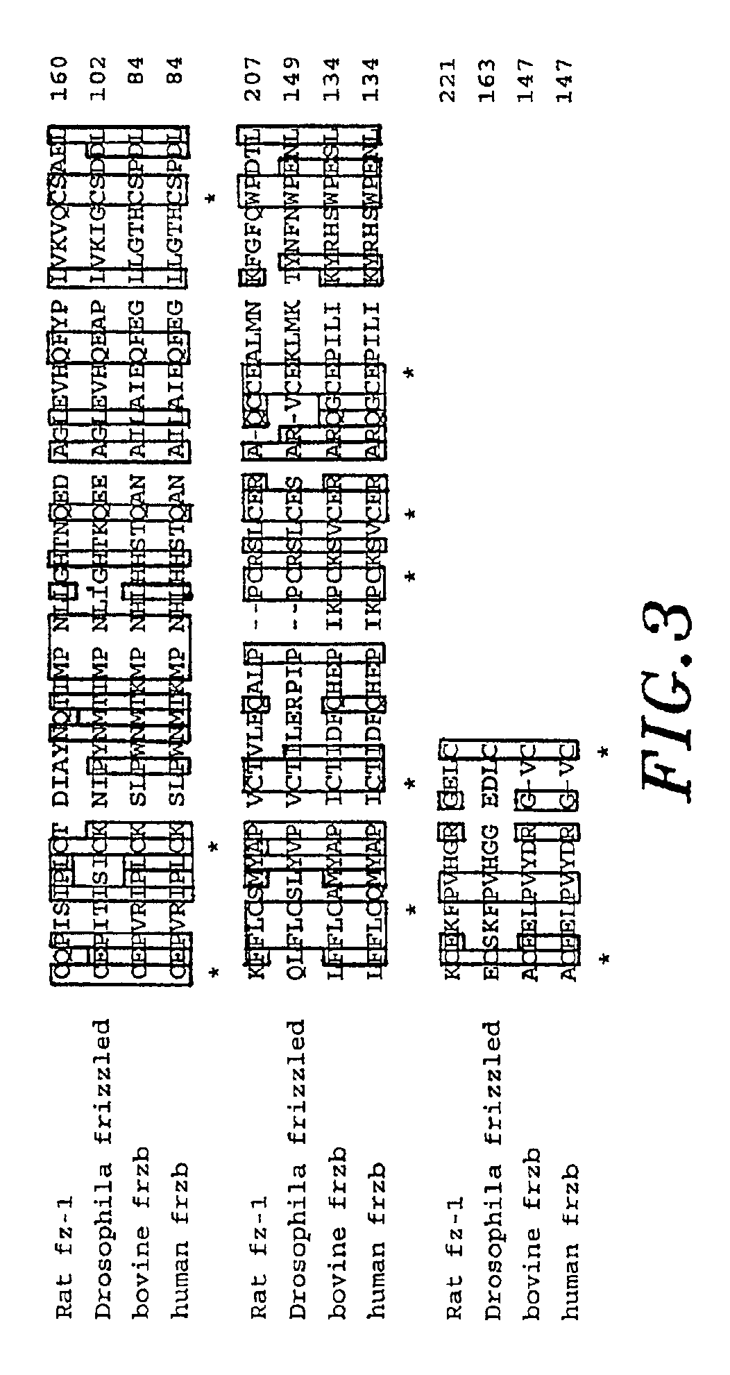 Method of modulating tissue growth using Frzb Protein