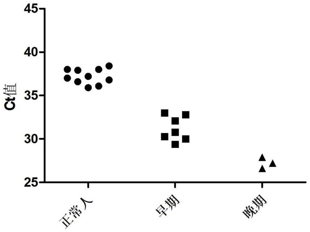 Exosome ecDNA biomarker detection reagent for early diagnosis of lung cancer, and use of exosome ecDNA biomarker detection reagent