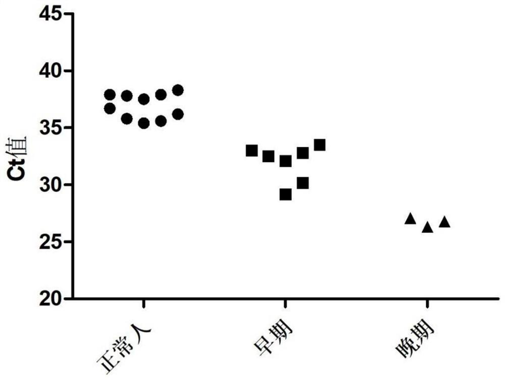 Exosome ecDNA biomarker detection reagent for early diagnosis of lung cancer, and use of exosome ecDNA biomarker detection reagent