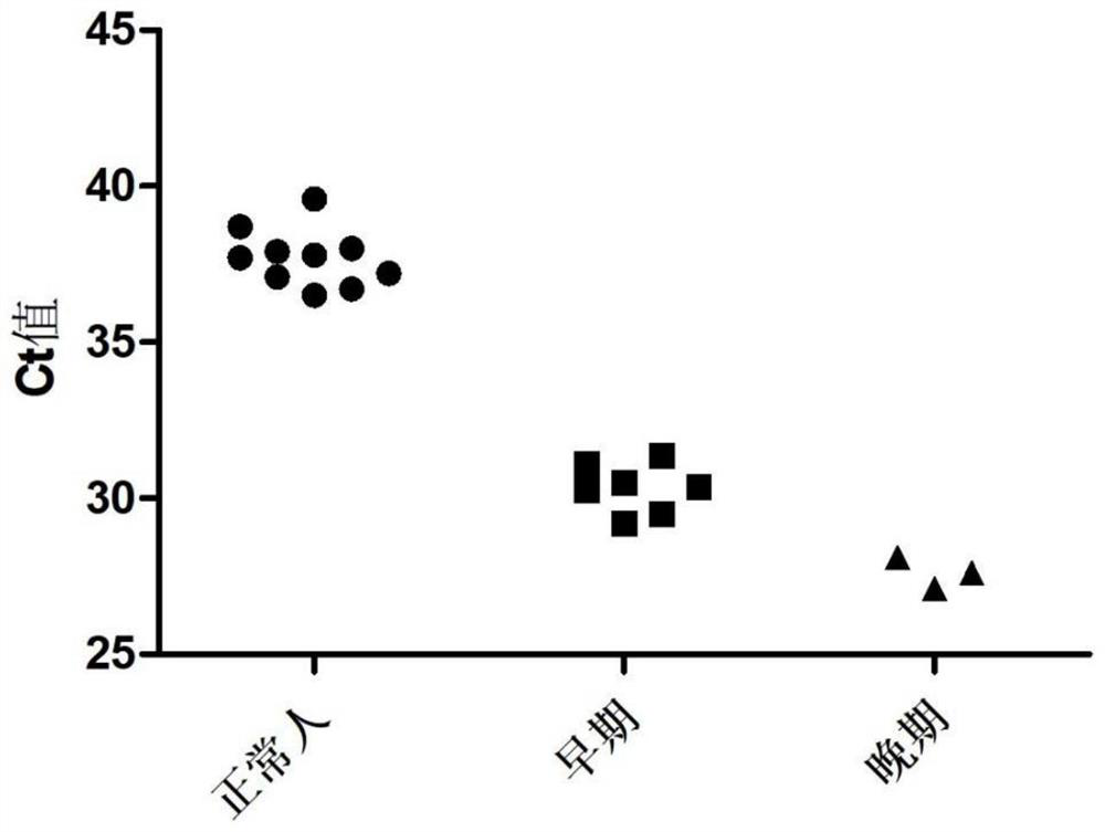 Exosome ecDNA biomarker detection reagent for early diagnosis of lung cancer, and use of exosome ecDNA biomarker detection reagent