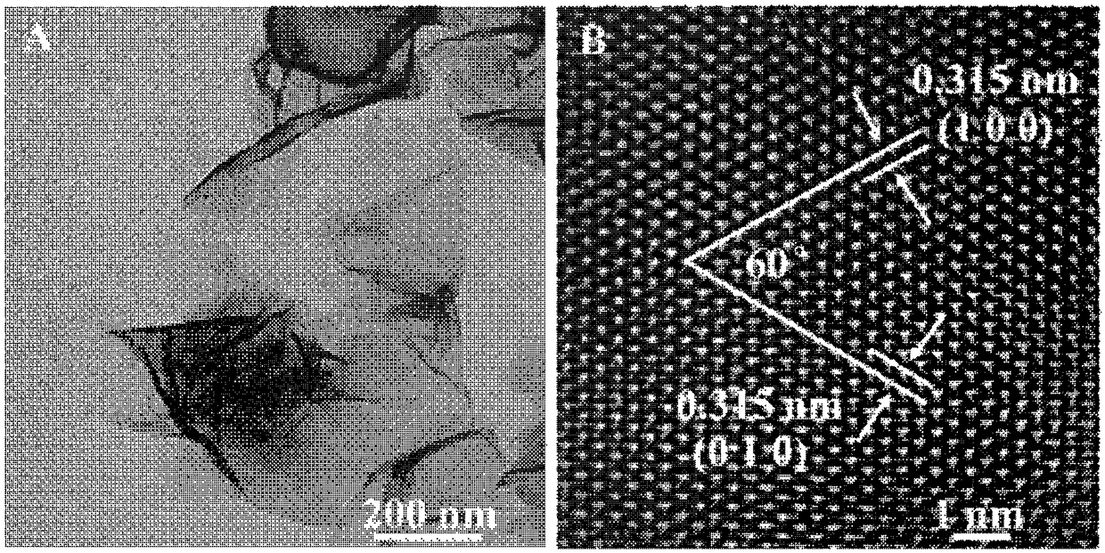 Preparing method of partly-oxidized SnS2 sheet and product and application of sheet