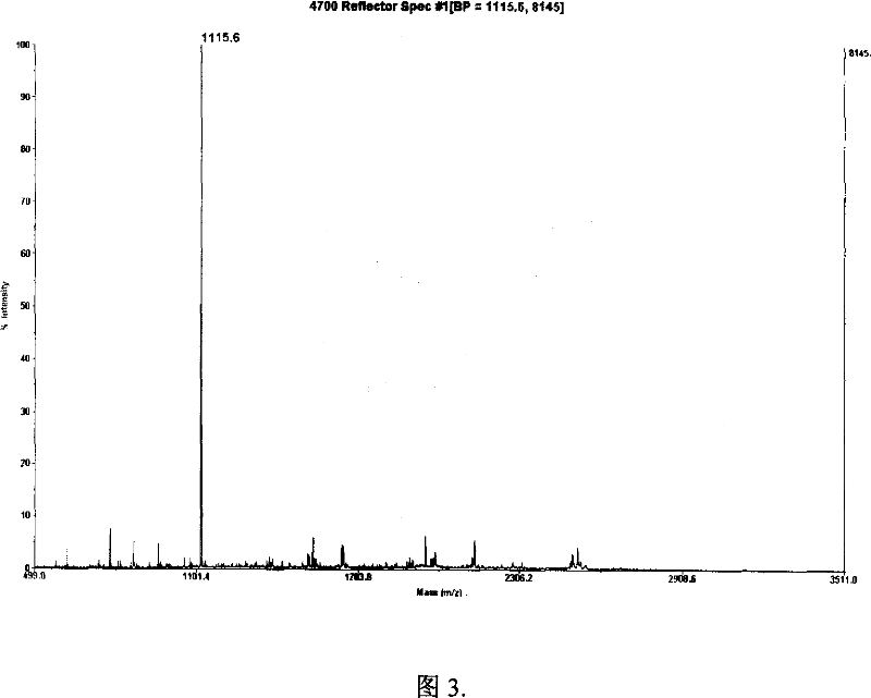 Method for enriching and sequencing protein terminal peptide fragment and reagent kit