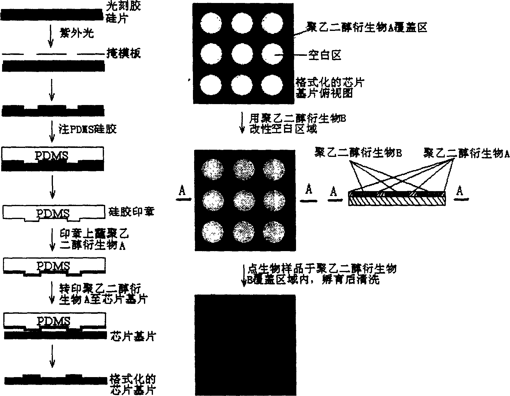 Method for making bio-chip